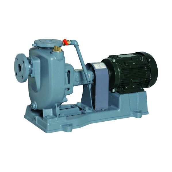 FQ型自吸ポンプ 50Hz 口径40mm 40FQ5.75B 1点