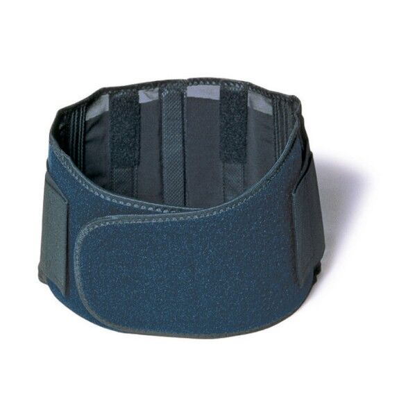 ウエストサポーター バックコーチ