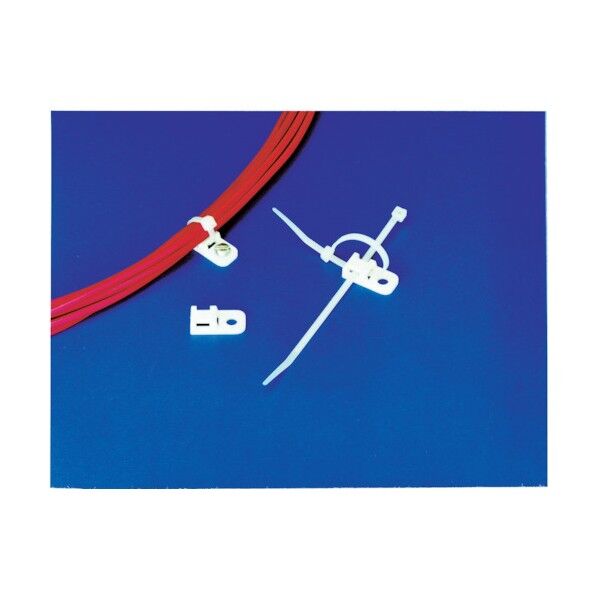 インシュロックアンカーマウント CTAM2 100個