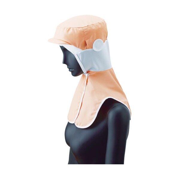 クールフード アクアクール