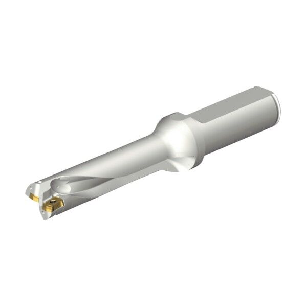 コロドリルDS20刃先交換式ドリル(465)