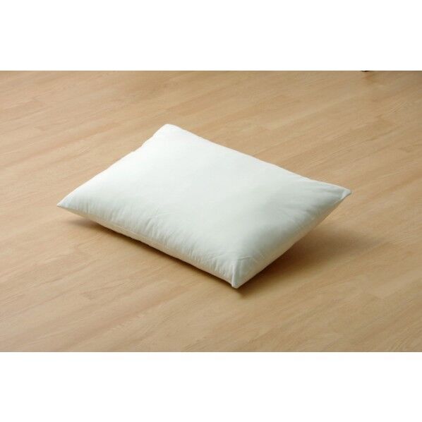 アレルプルーフ ヌード枕 43×63cm 6685529 1個