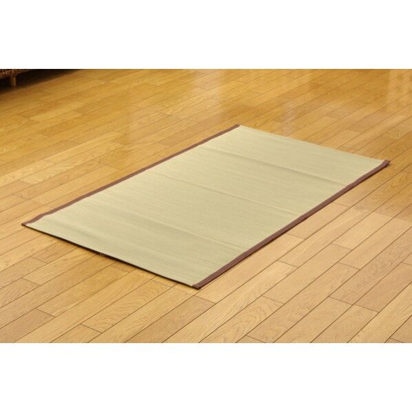 草ね 汗取P 70×120cm 7403869 1枚