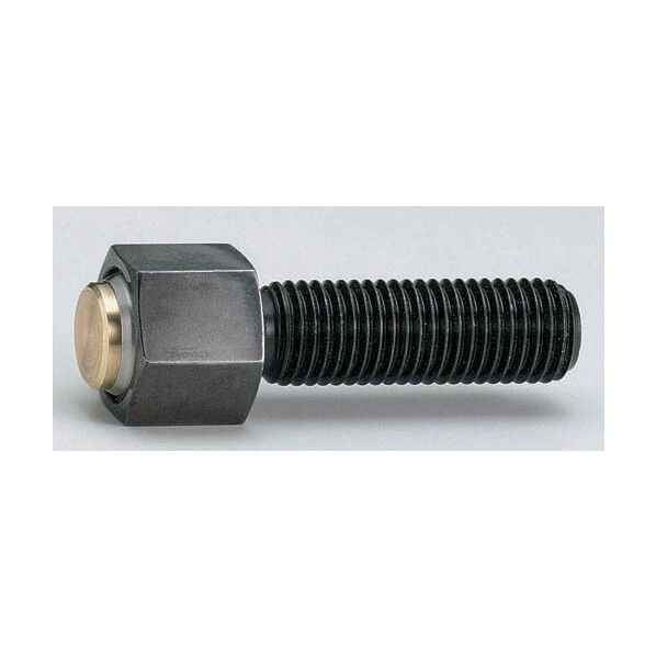 アライニンググリップボルト AGB10030S 1点