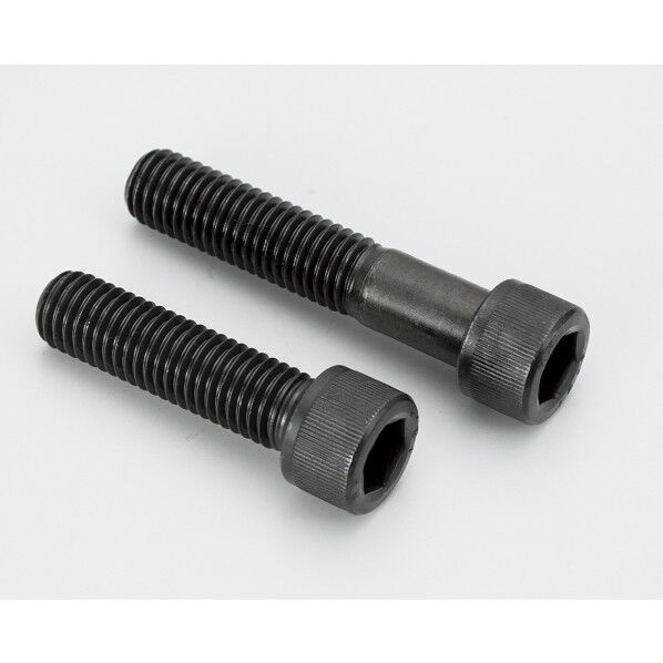 ソケットスクリュー SKS10020 1点