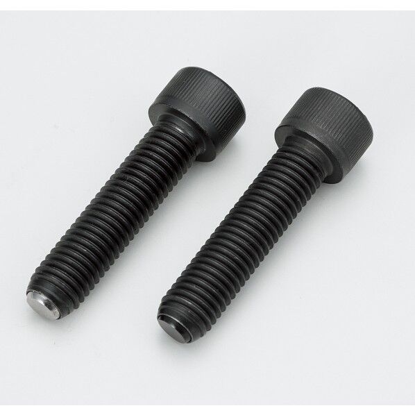 クランピングボルト SCB-M10-60-F 1点