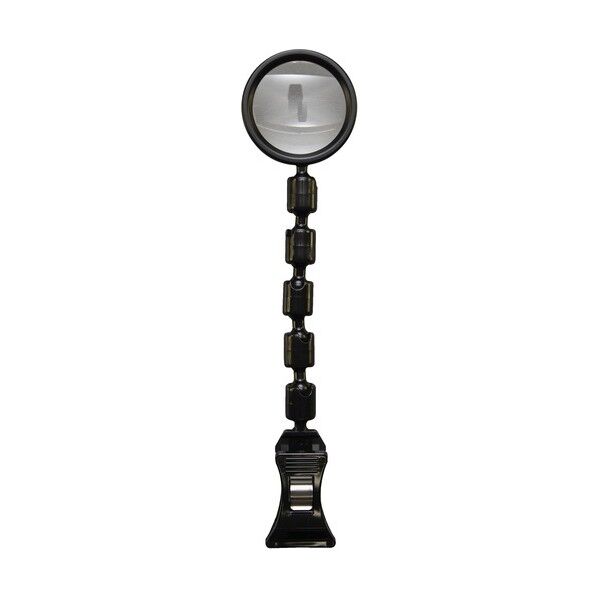 せぼね君ルーペミニ