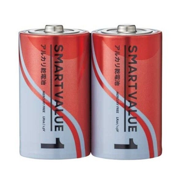 アルカリ乾電池 単1 2本 N121J-2P 2本