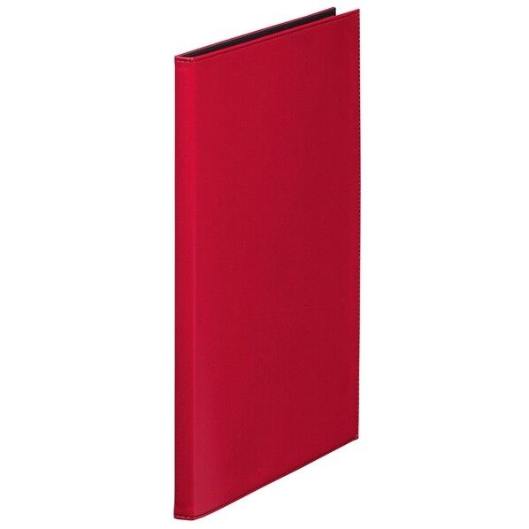 レザフェスクリアーファイル