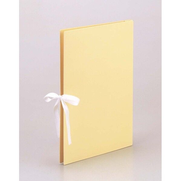 カラーエイナーファイルA4R EX 1363 1冊