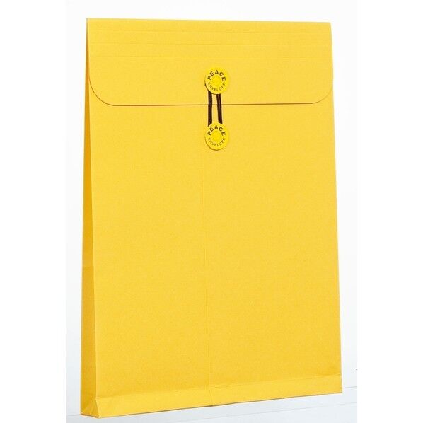 角2マチ紐付保存袋カーデックス177k 134 1