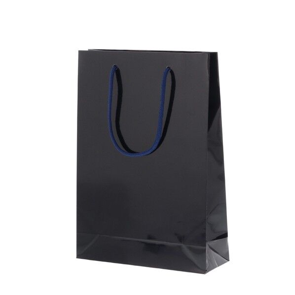 ブライトバック SWT