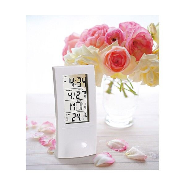 シースルークロック 約66×142×55mm 5117 1個