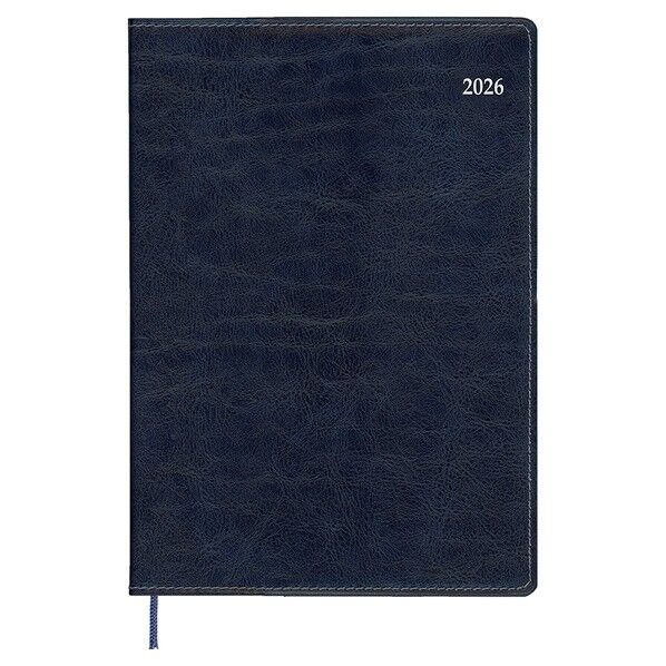 2026 アホﾟイント テﾞスク B6 1MB 見出 土日均等 ネイヒﾞー◆