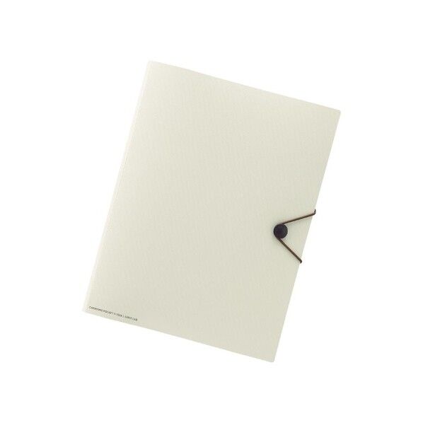 SMART FIT キャリングポケット ベージュ 242×18×312mm F7528-16 1点