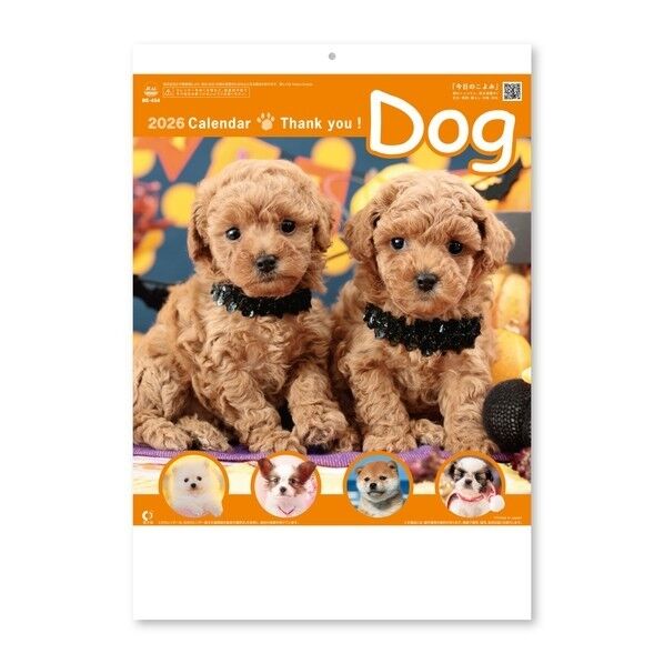 サンキュー・ドッグ