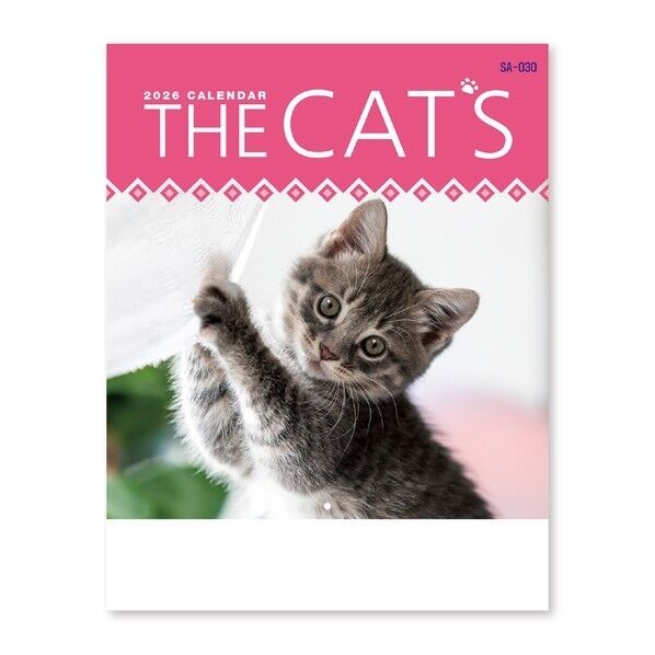 THE CAT's THE CAT's NK8727 1冊