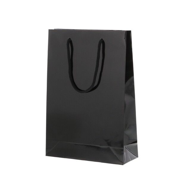 HEIKO 紙袋 ブライトバッグ SWT(グロスPP貼り) 10枚 黒(グロスPP貼り) 225×マチ80×320mm 006138200 1枚