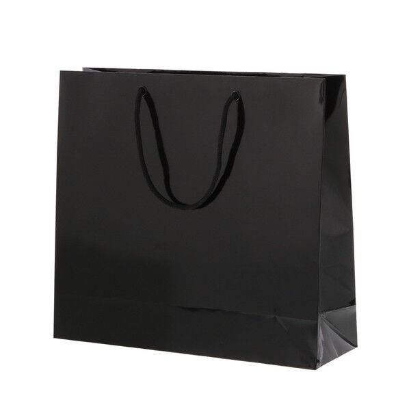 手提げ紙袋 ブライトバッグ GM 10枚