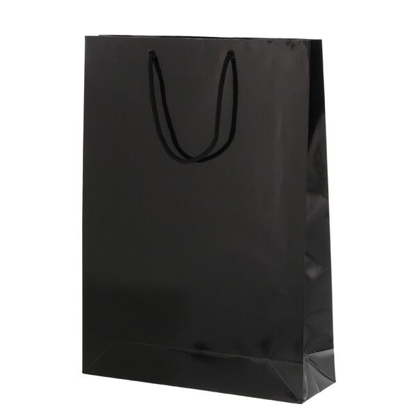 手提げ紙袋 ブライトバッグ G2 10枚