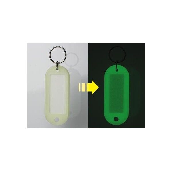 ソニック 光るキーホルダー名札 蓄光タイプ 26×81×4mm SG-296 5個...