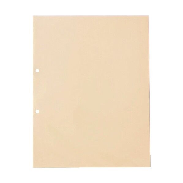 OPPクリアポケット 中紙有 2穴 10枚 D120J 10枚