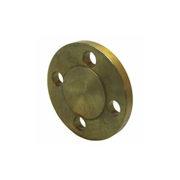 黒 鋼製 鉄閉止フランシﾞ