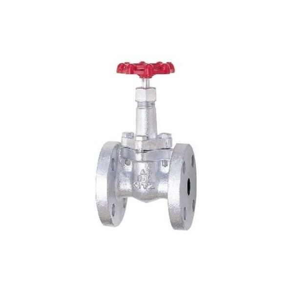 キッツ FCDケﾞート弁【フランシﾞ･ホﾞルテットﾞホﾞンネット】