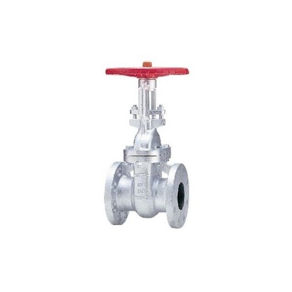 キッツ FCDケﾞート弁【フランシﾞ･ホﾞルテットﾞホﾞンネット】