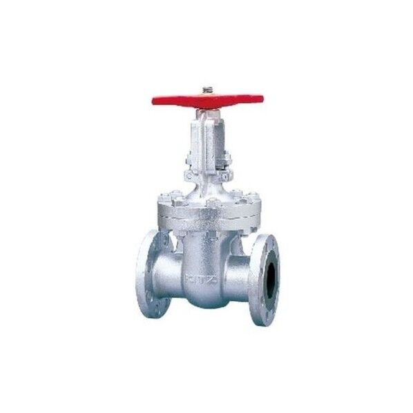 キッツ FCDゲート弁【フランジ・外ネジ】