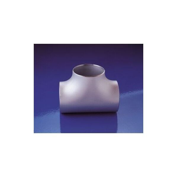 MIEテクノ SUS304W 10S チースﾞ