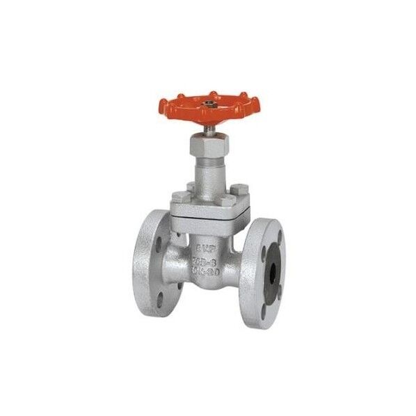 東洋バルヴ FCD-S ゲート弁【フランジ・CR13】