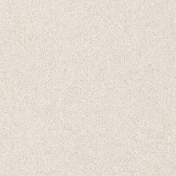 フロアタイル ストーン&アクセント フラルテ