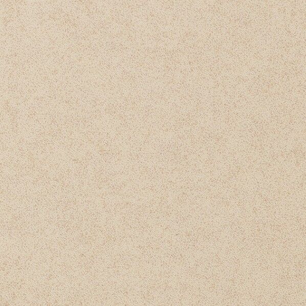 フロアタイル ストーン&アクセント フラルテ