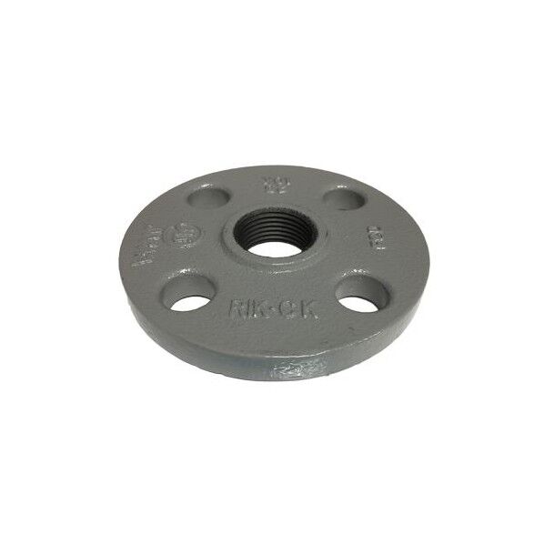 リケン 鋳鉄製 合フランシﾞ 10K コート品