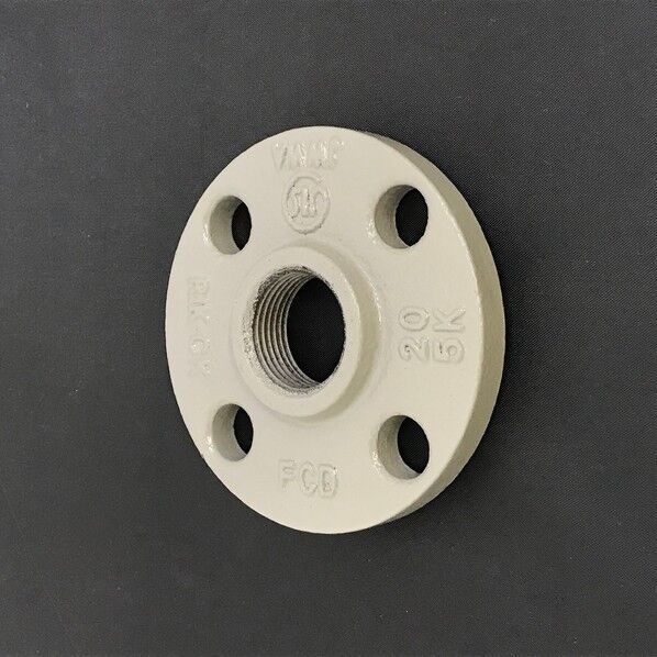 リケン 鋳鉄製 合フランシﾞ 5K コート品