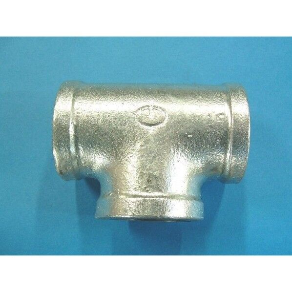 リケン 白 チーズ バンド付