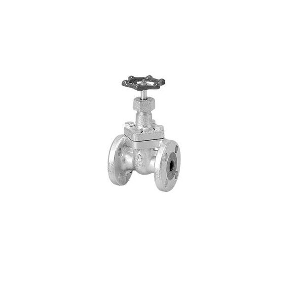 日立金属 M20K FS マレフﾞル仕切弁【フランシﾞ･内ねじBB】