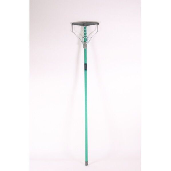 小型モップ ダンディスプリング