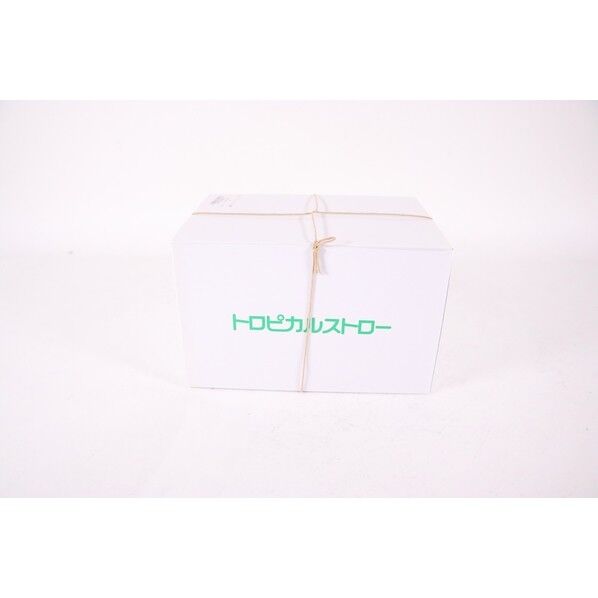 トロピカルストロー 8インチ 377246