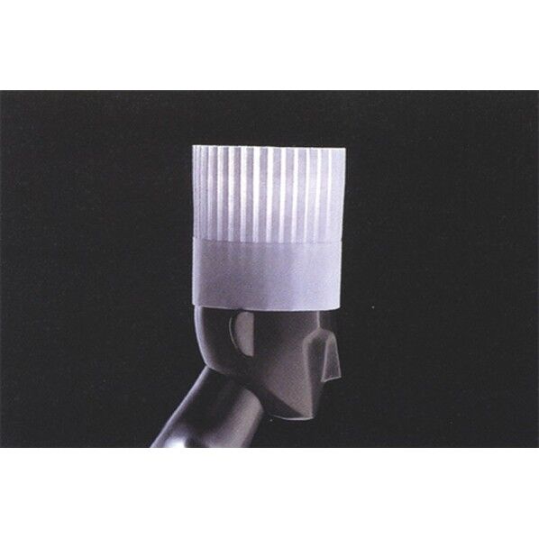 パル パリスハット  PH-20 SHT4401 10枚