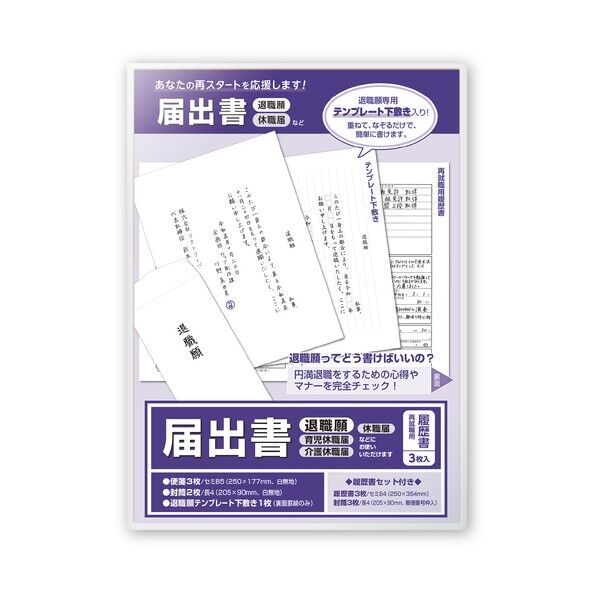 届出書 履歴書付 44-501 1セット...