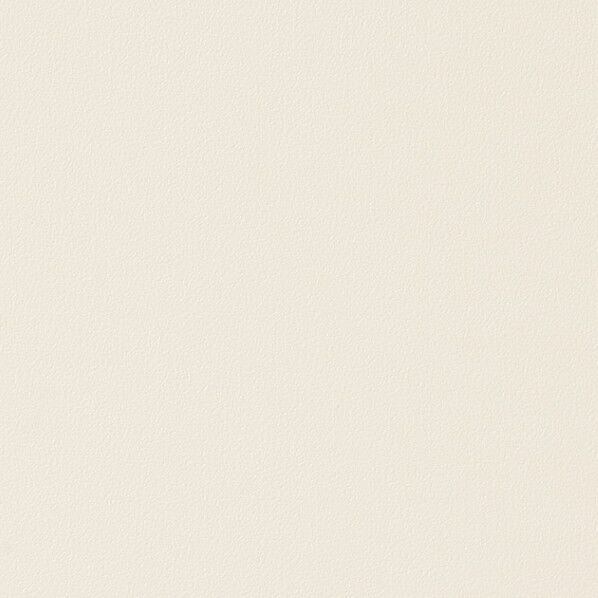 浴室パネルリアテック単色