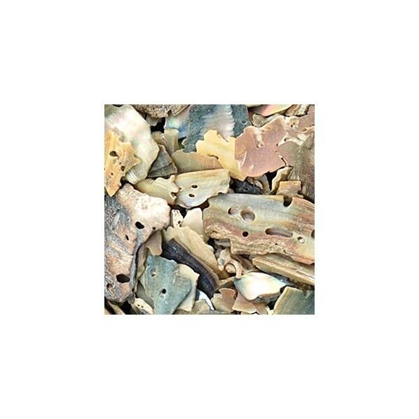 東京交易 シェルチップ φ4cm