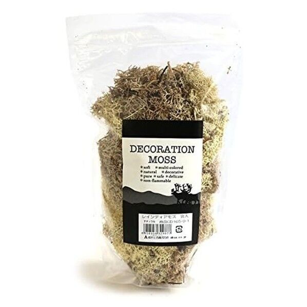 レインディアモス 156-9-1 100g 1ナチュラル 1個