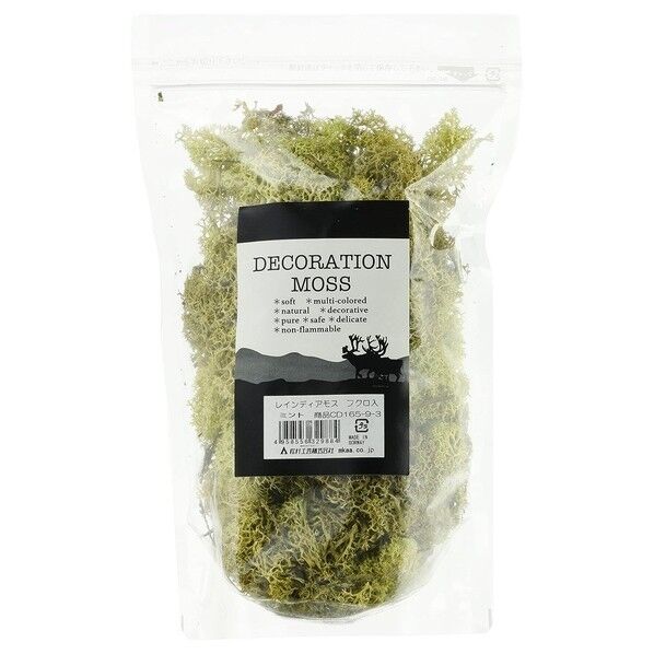 レインディアモス 156-9-3 100g 3ミント) 1個