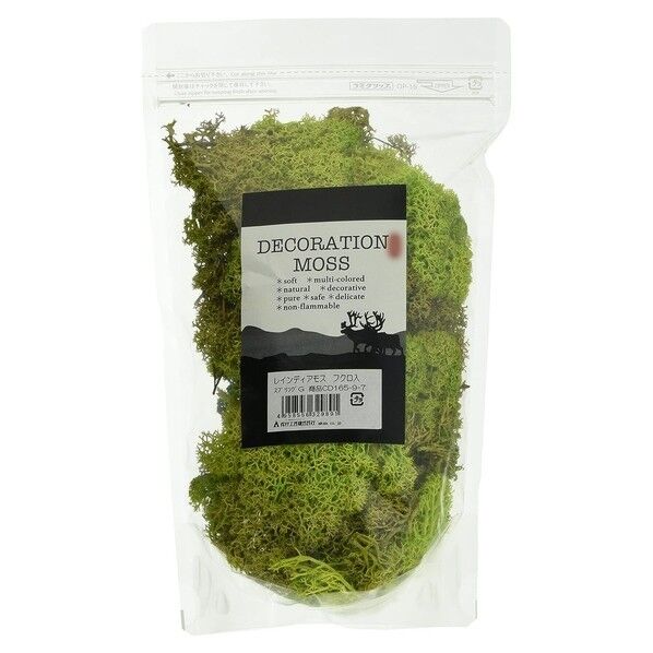 レインディアモス 156-9-7 100g (7スプリンググリーン) 1個