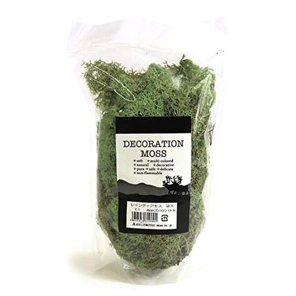 レインディアモス