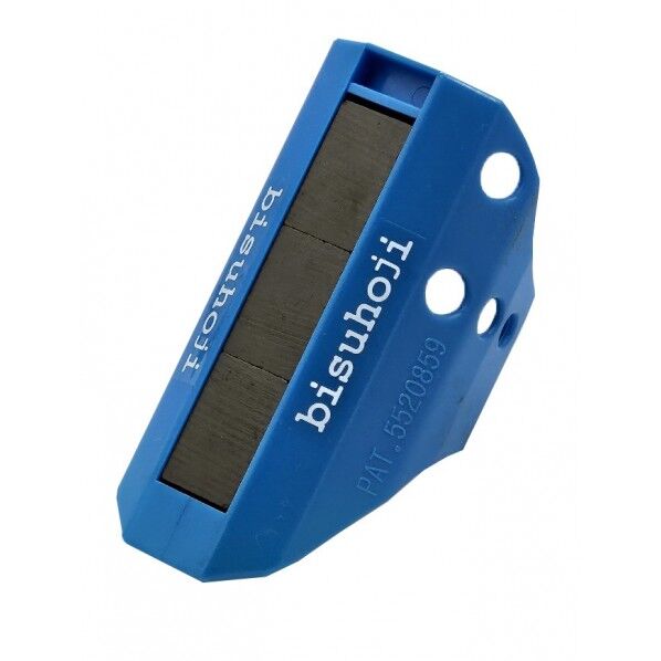 ビスホジ ブルー