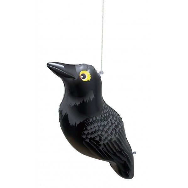 龍宝丸 鳥追いカラス